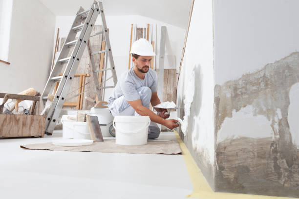 Best Commercial Painting  in Cologne, MN